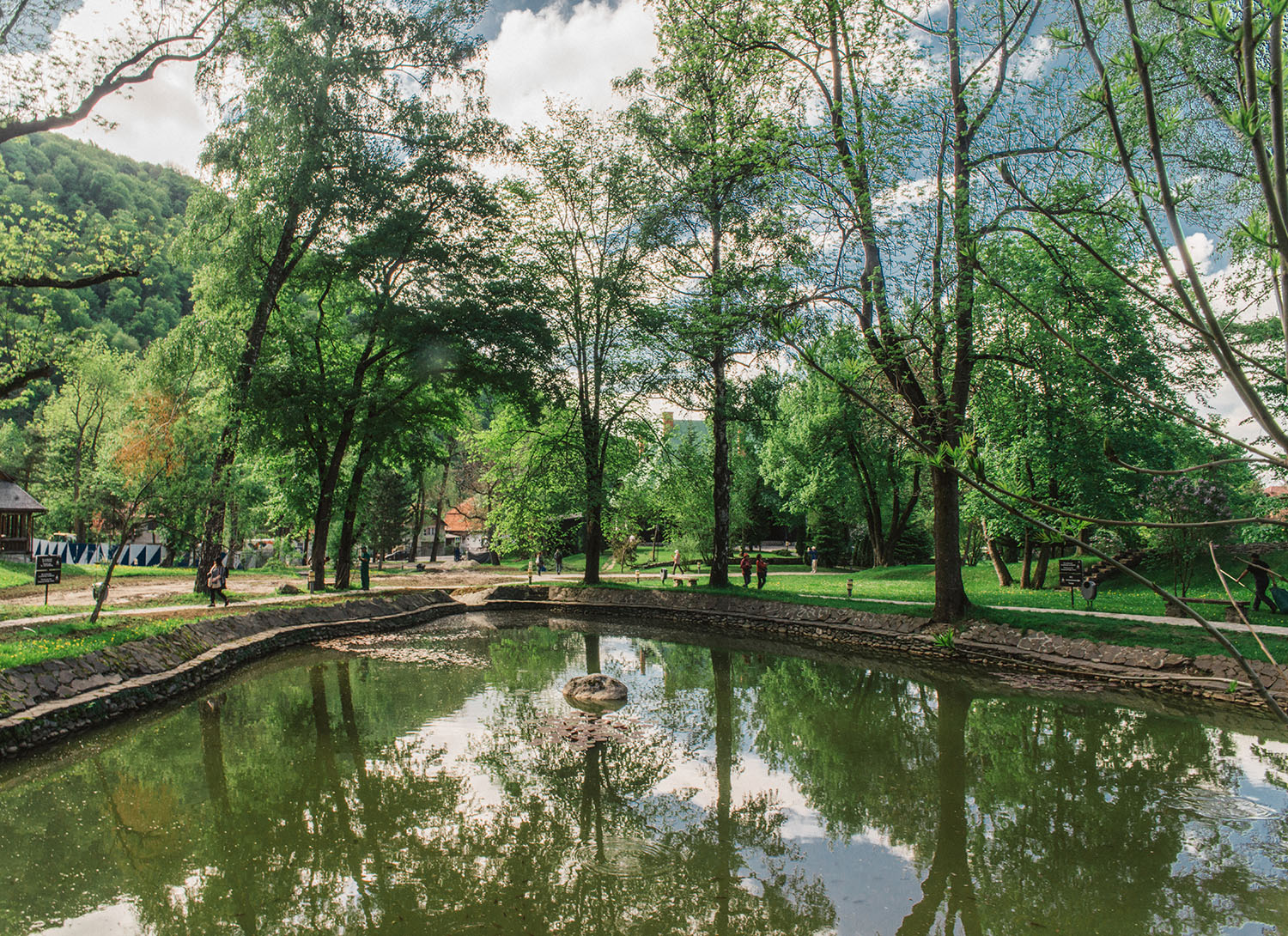 Green Castle Ground at Bran Castle