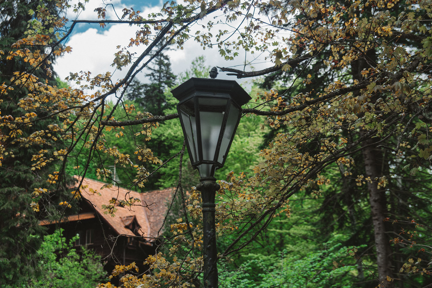 Close up of magical lamp at Peleş Castle in Romania