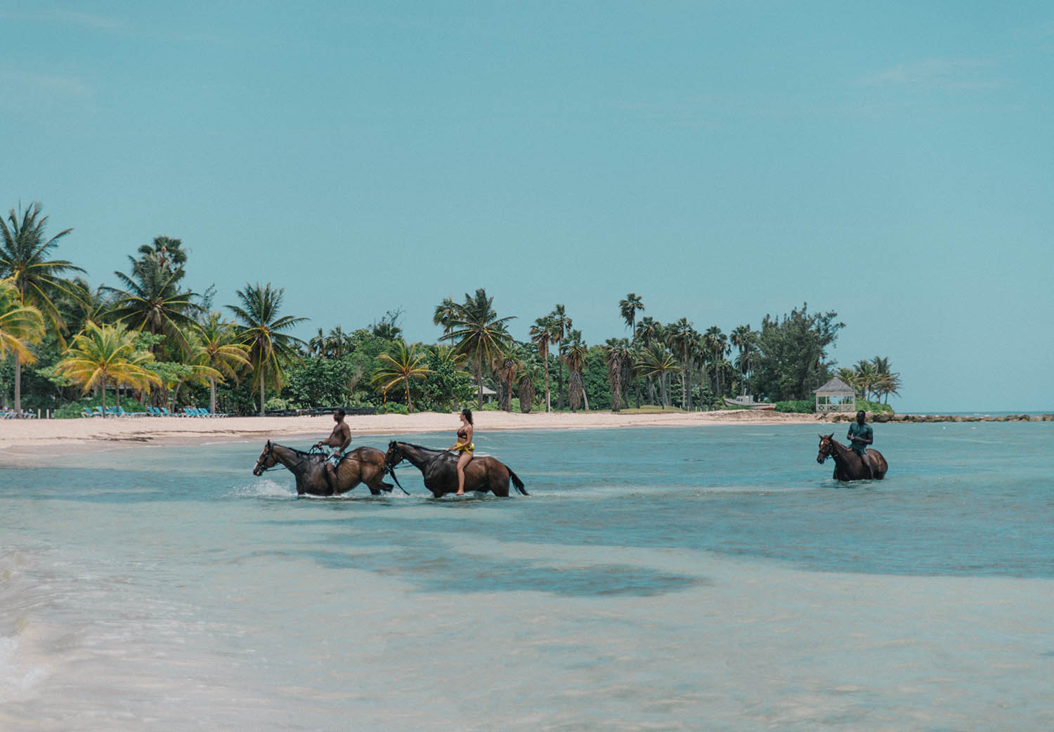 Swimming with horses in Jamaica