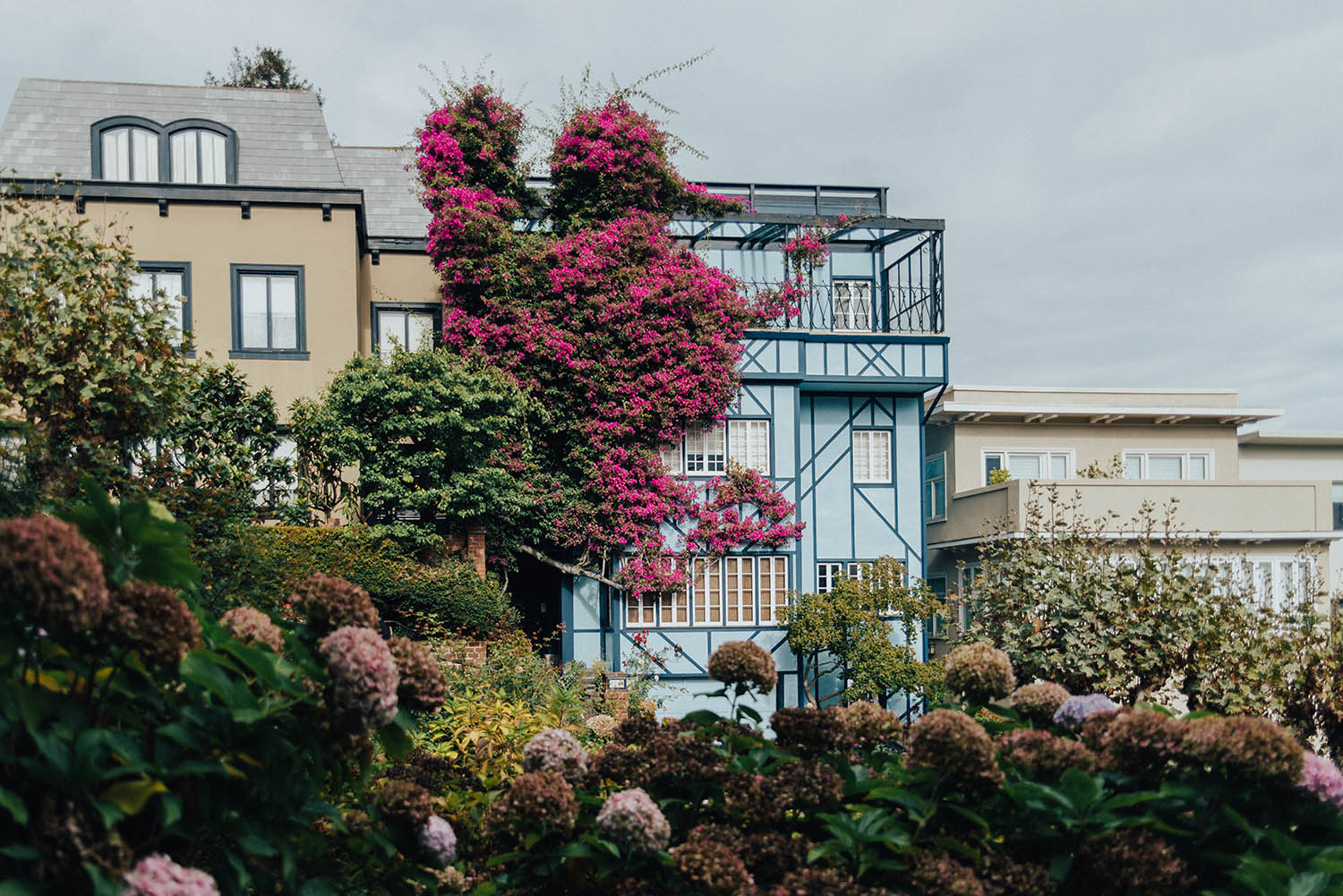 Lombard Street - Blommor & Färgglada hus - Instagramvänliga platser i San Francisco