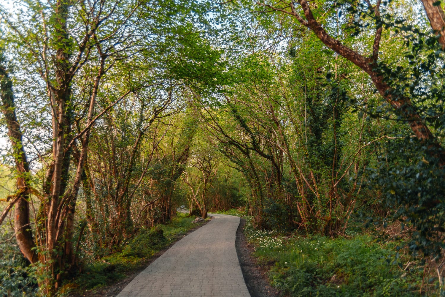 Vacker stig till Finn Lough resorts bubbelhotell