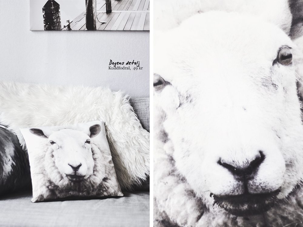 Kuddfodral med får (fotoprint)