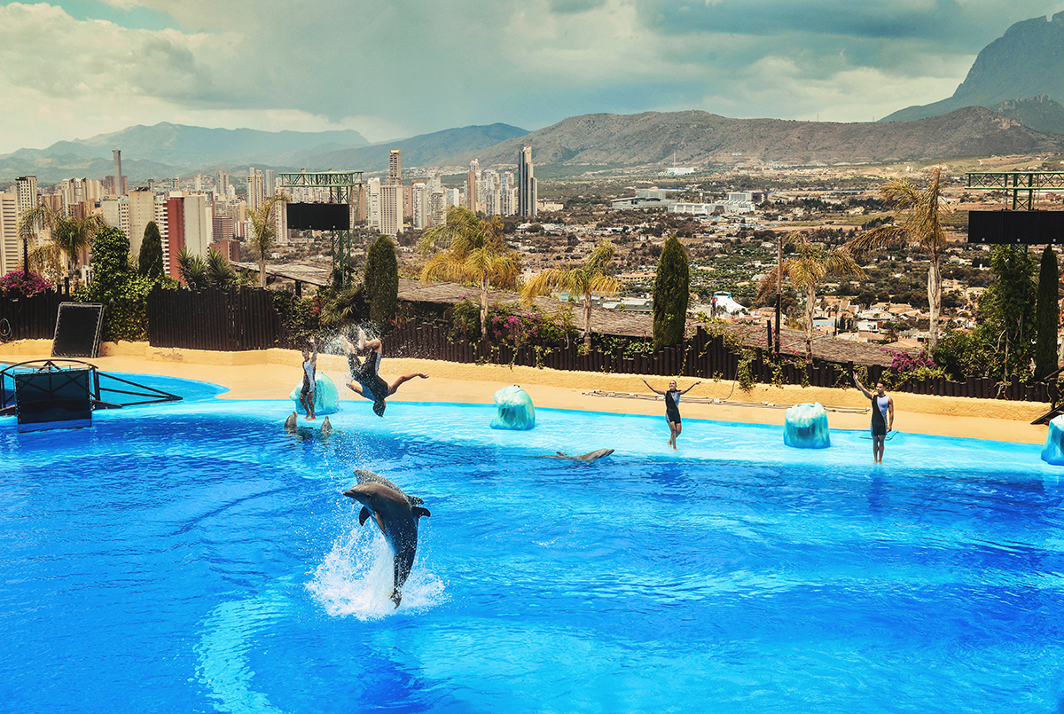 Dolphine show at Mundomar