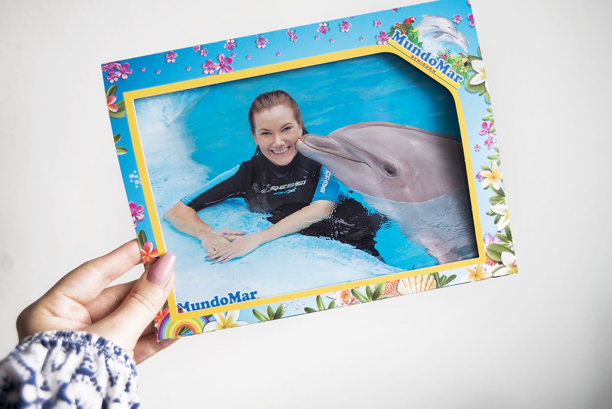 Dolphine Encounter at Mundomar