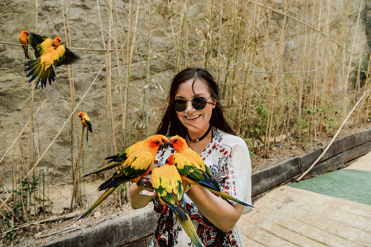 Mundomar Exotic Birds Encounter