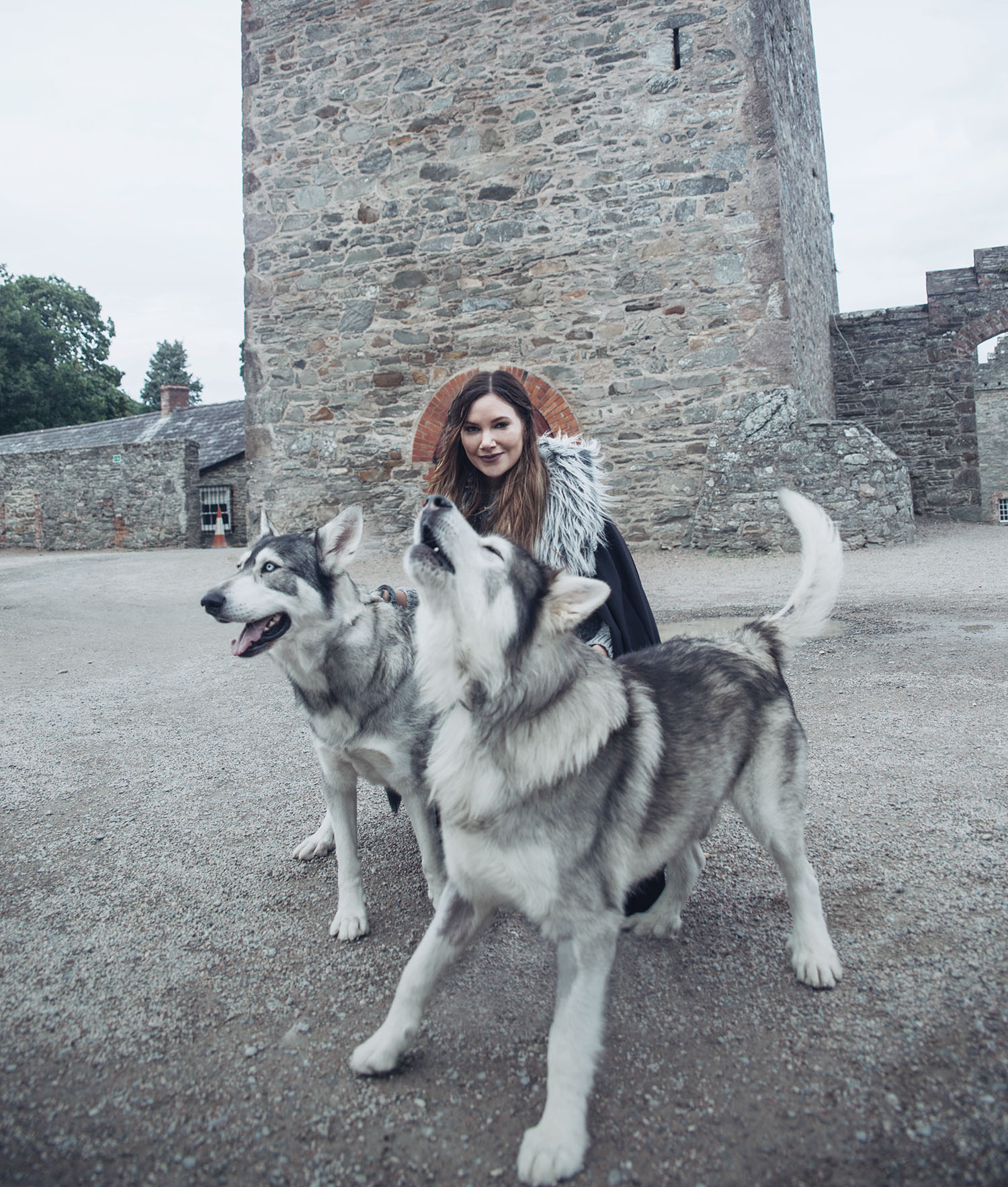Meeting the direwolves Grey Wind and Summer from Game of Thrones