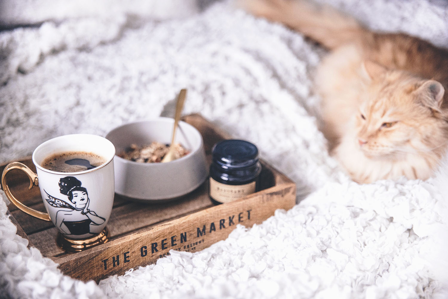 Breakfast in Bed with coffee müsli and tired cat