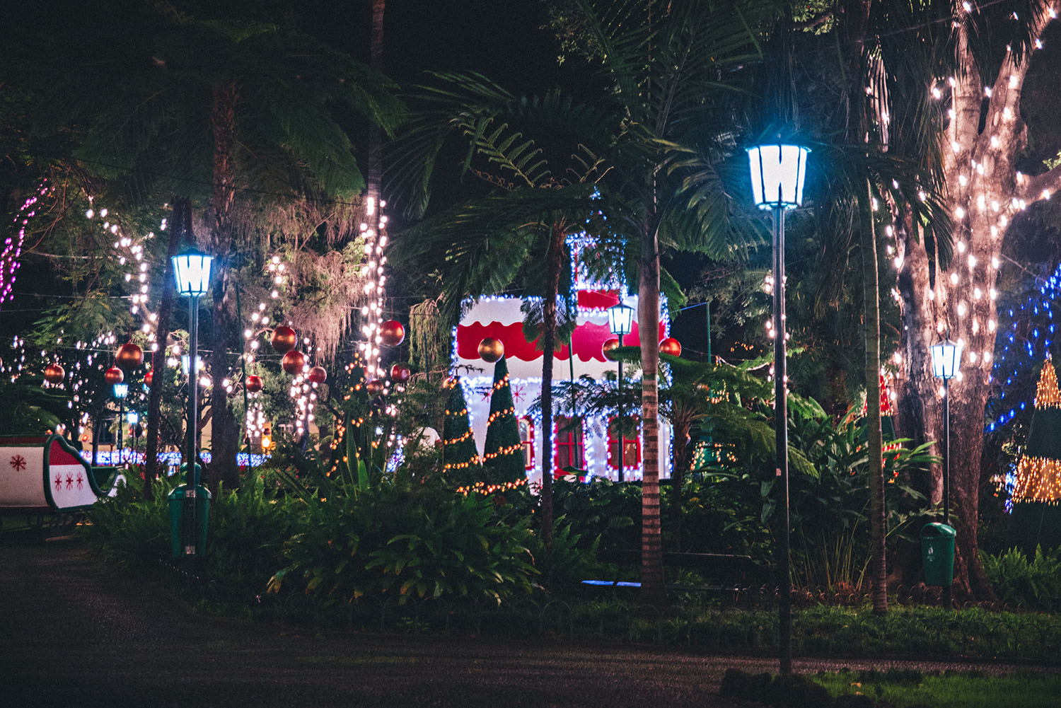 Christmas Decorations in Funchal, Madeira