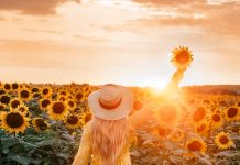 25 Saker att göra i Slavonien, Kroatien Best Things to Do in Slavonia, Croatia - Travel Guide