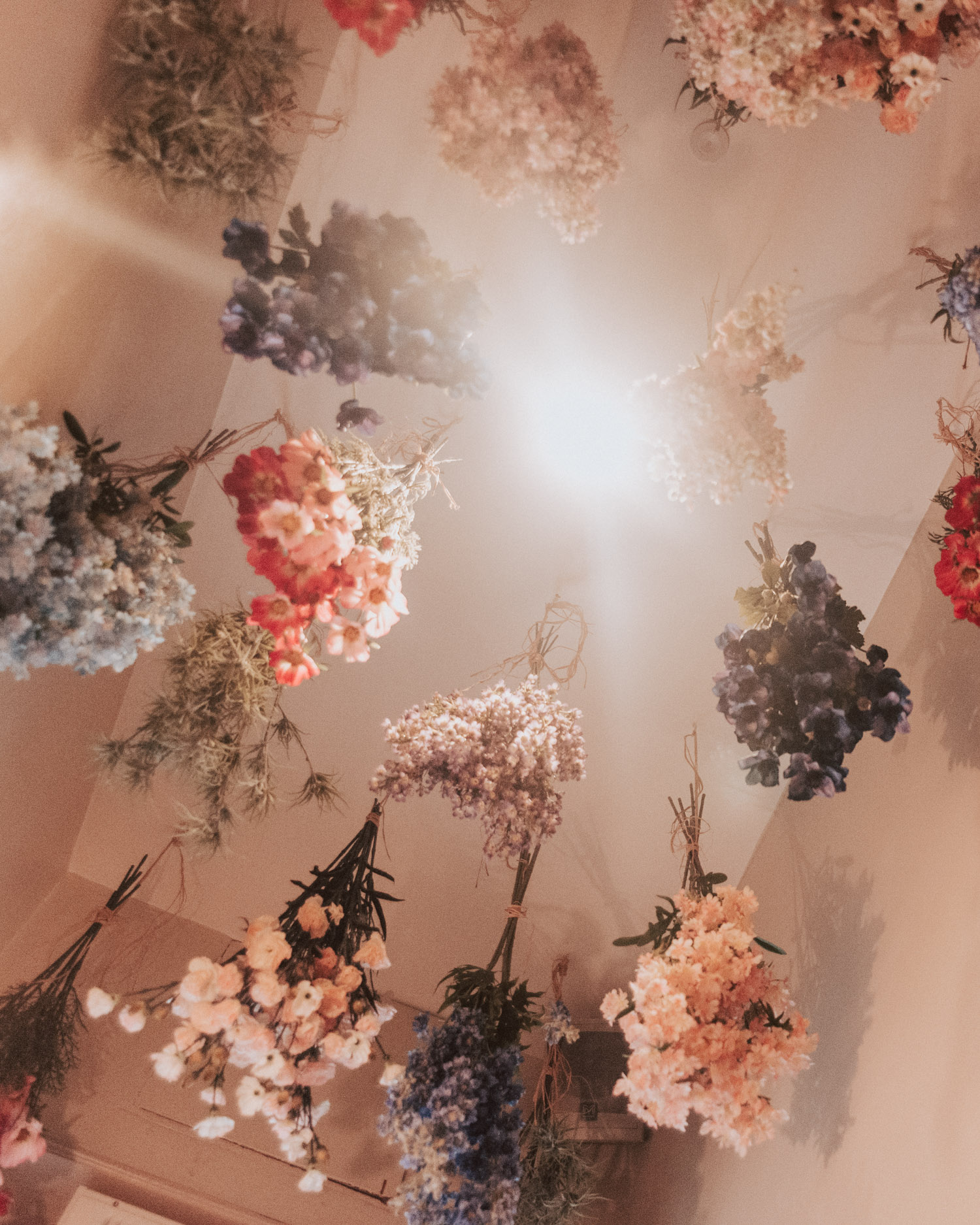 The Florist, Bristol | Dried flowers hanging from ceiling