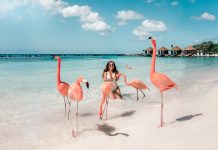 Reseguide till Aruba – Bästa tipsen till karibiska paradisön ADARAS Reseguide till Aruba, Västindien